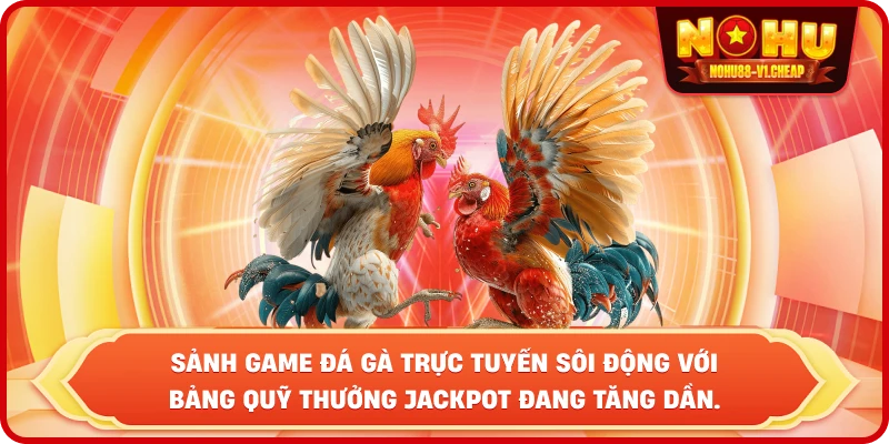Sảnh game đá gà trực tuyến sôi động với bảng quỹ thưởng Jackpot đang tăng dần.